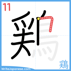 How to write "鶏" - stroke 11