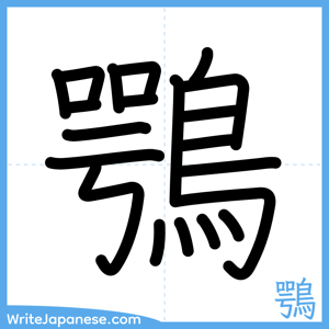 How to write "鶚" - complete stroke order