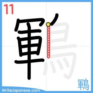 How to write "鶤" - stroke 11