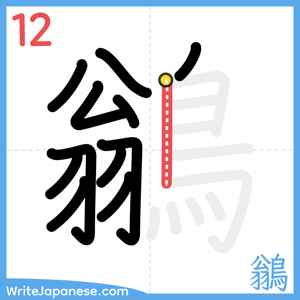 How to write "鶲" - stroke 12