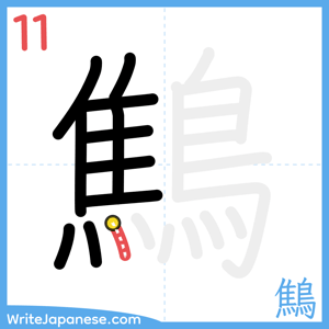How to write "鷦" - stroke 11