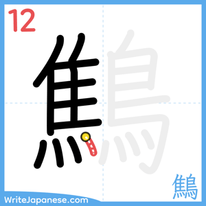 How to write "鷦" - stroke 12