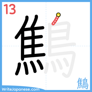 How to write "鷦" - stroke 13