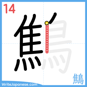 How to write "鷦" - stroke 14