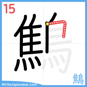 How to write "鷦" - stroke 15