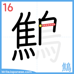 How to write "鷦" - stroke 16