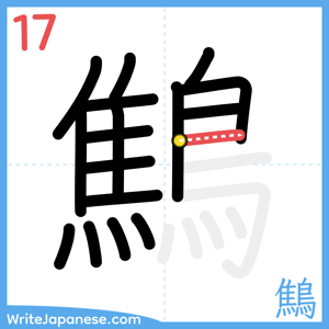 How to write "鷦" - stroke 17