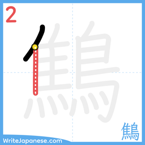 How to write "鷦" - stroke 2