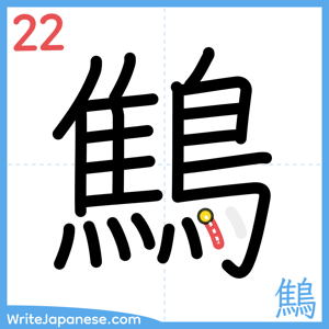 How to write "鷦" - stroke 22