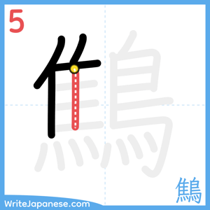 How to write "鷦" - stroke 5