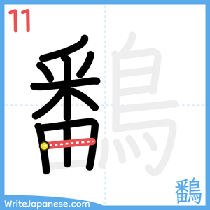How to write "鷭" - stroke 11