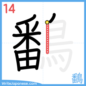 How to write "鷭" - stroke 14