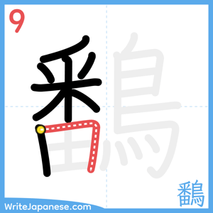 How to write "鷭" - stroke 9