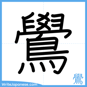 How to write "鷽" - complete stroke order