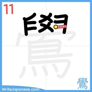How to write "鷽" - stroke 11