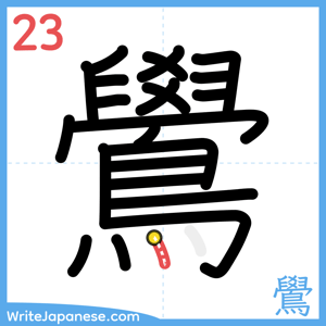 How to write "鷽" - stroke 23