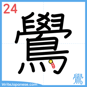 How to write "鷽" - stroke 24