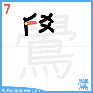 How to write "鷽" - stroke 7