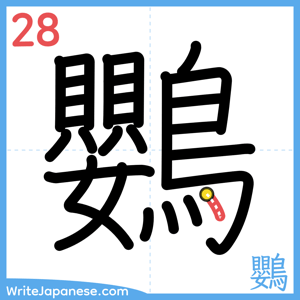 How to write "鸚" - stroke 28