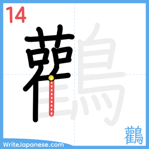How to write "鸛" - stroke 14