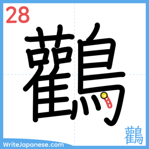 How to write "鸛" - stroke 28