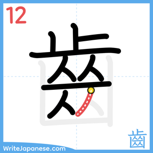 How to write "齒" - stroke 12