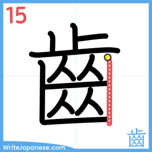How to write "齒" - stroke 15