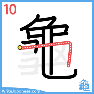 How to write "龜" - stroke 10