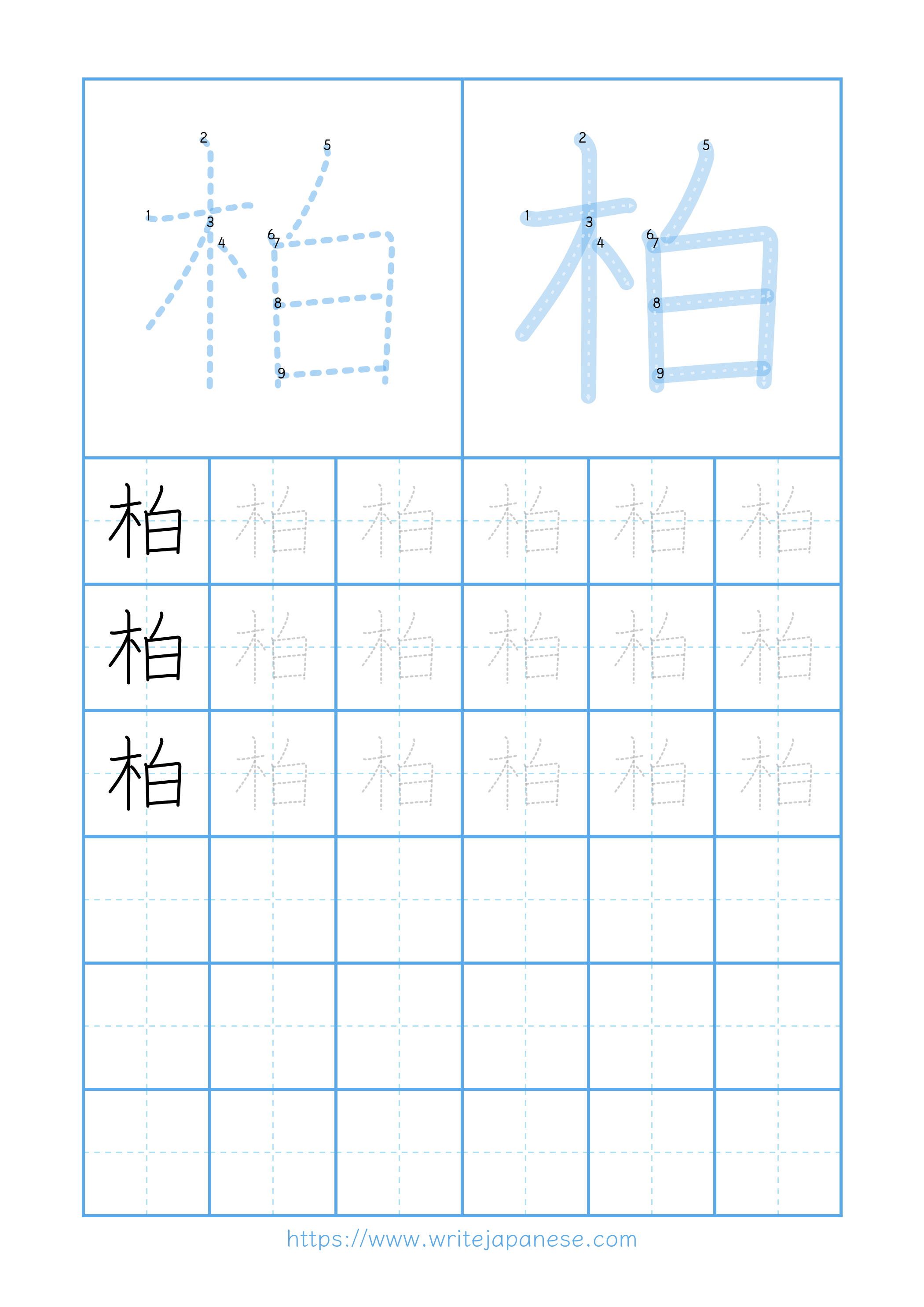 Modern horizontal worksheet for 柏