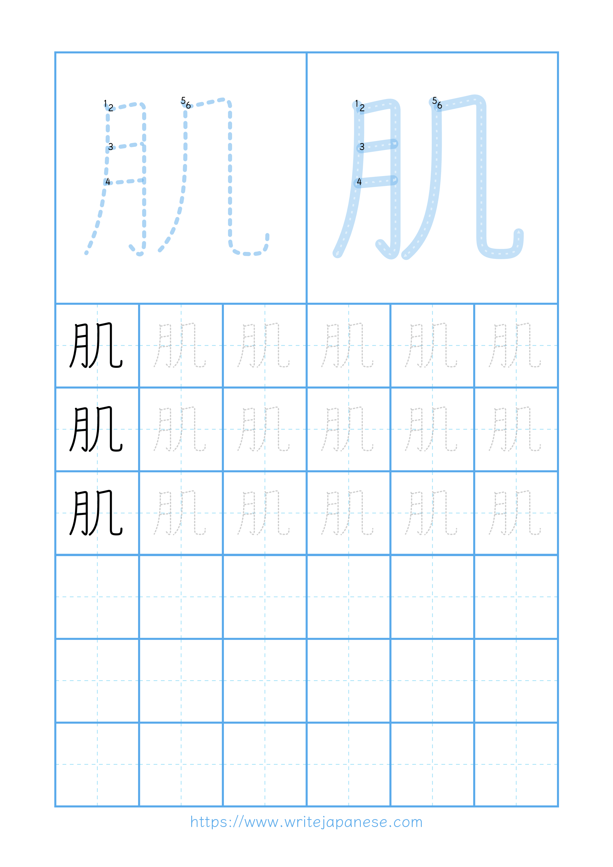 Modern horizontal worksheet for 肌
