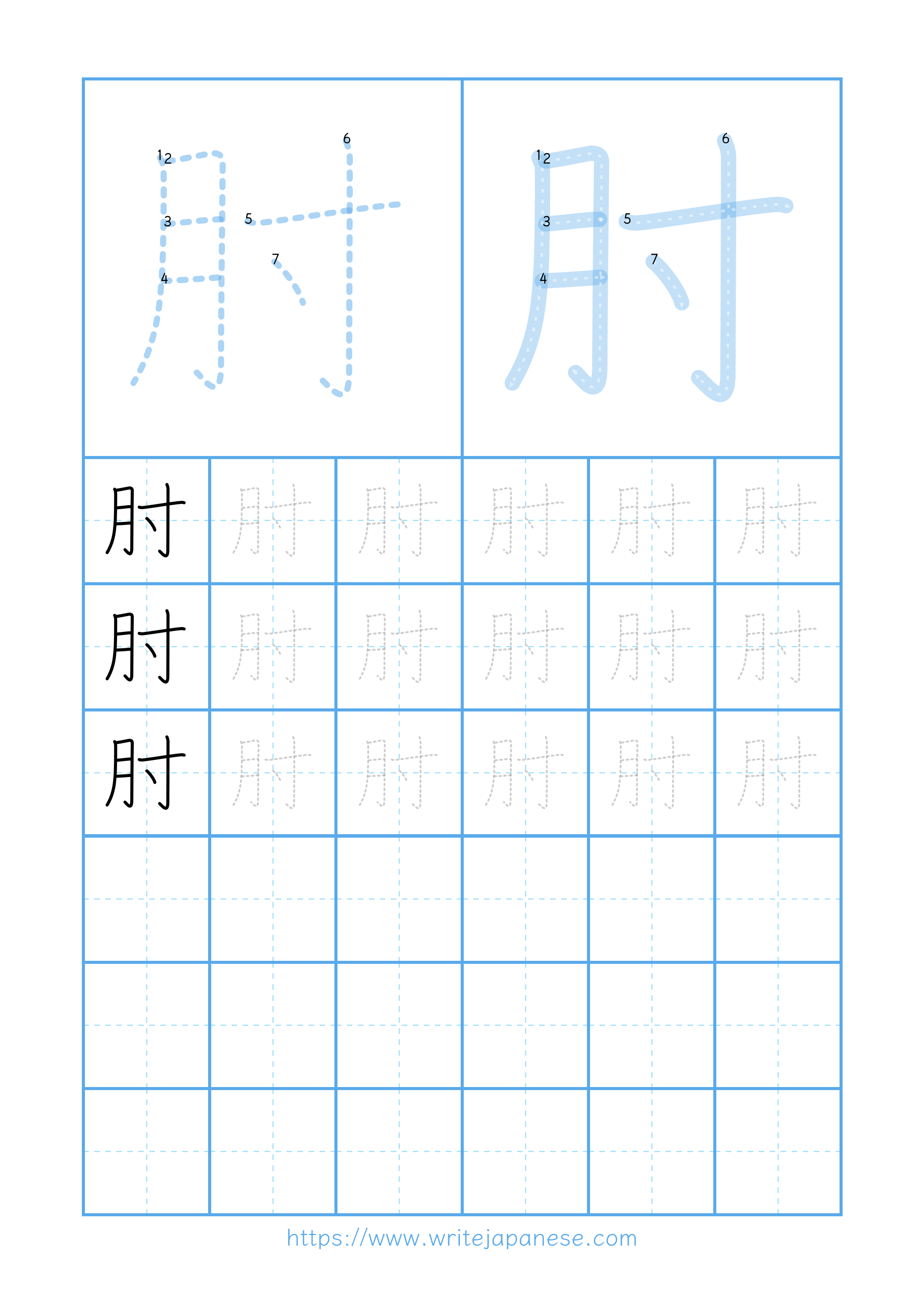 Modern horizontal worksheet for 肘