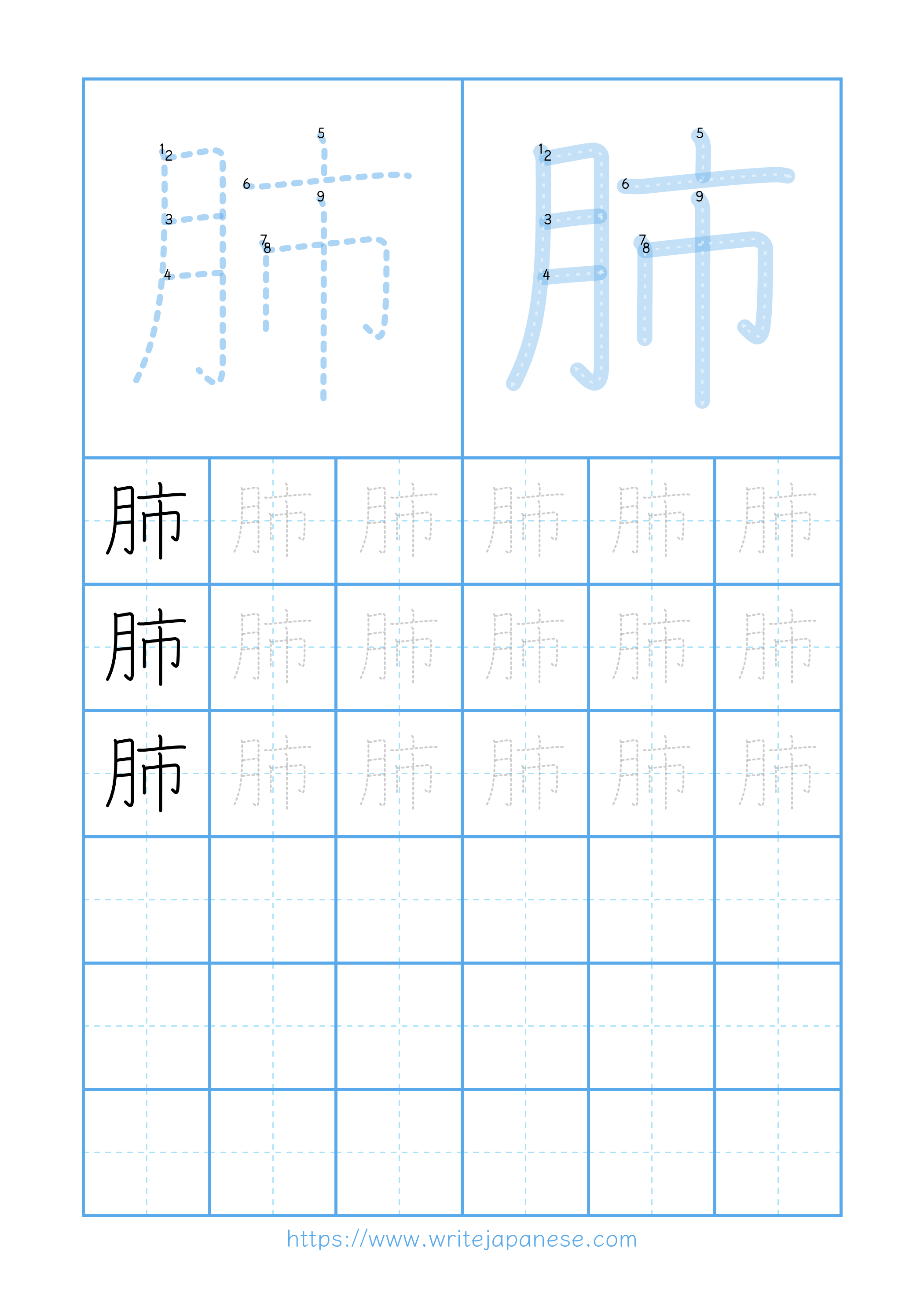 Modern horizontal worksheet for 肺