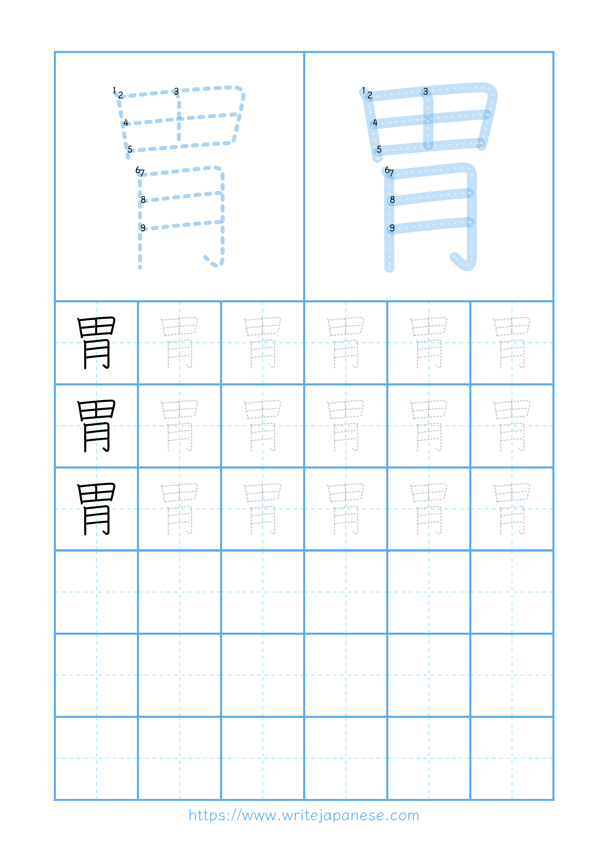Modern horizontal worksheet for 胃