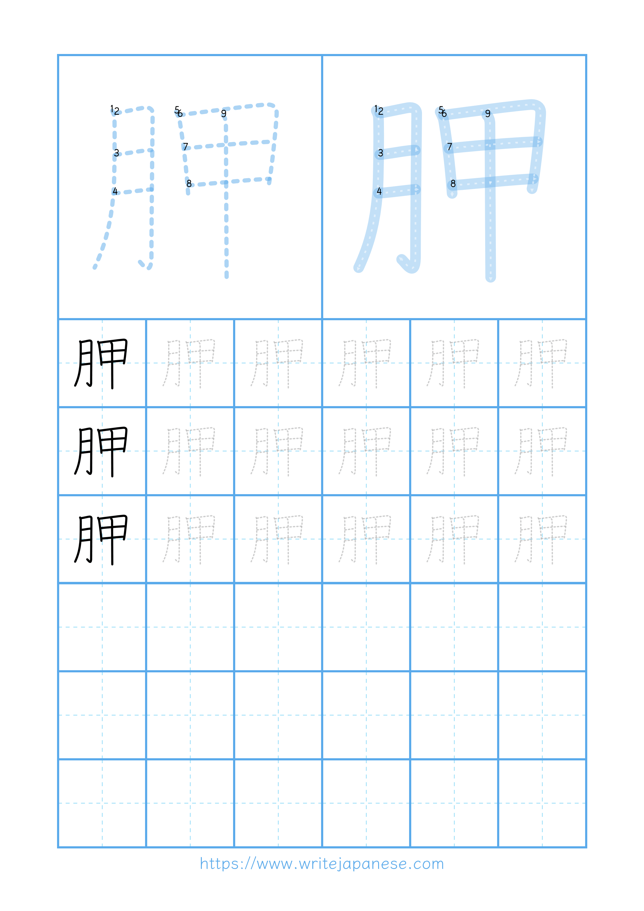 Modern horizontal worksheet for 胛