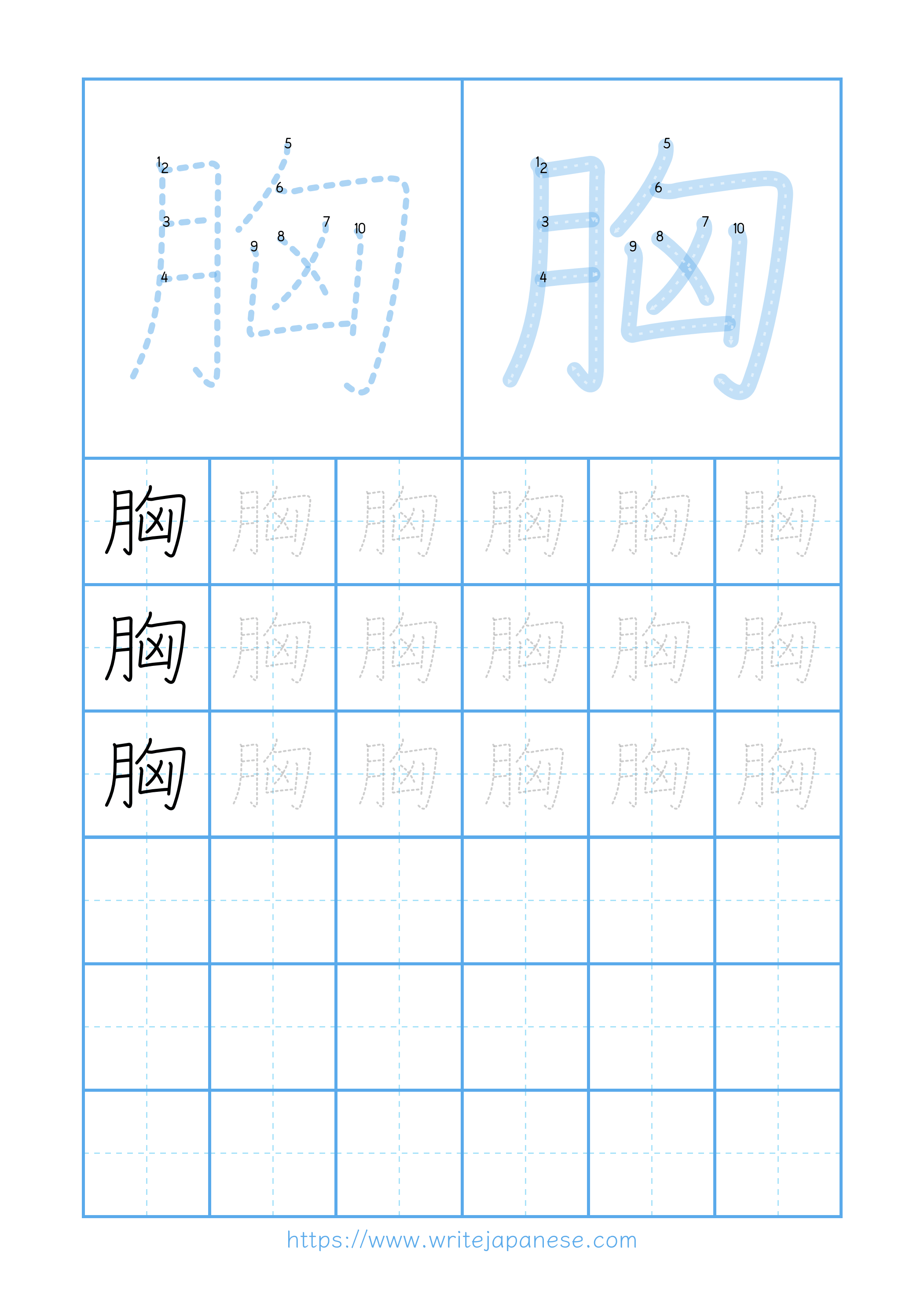 Modern horizontal worksheet for 胸
