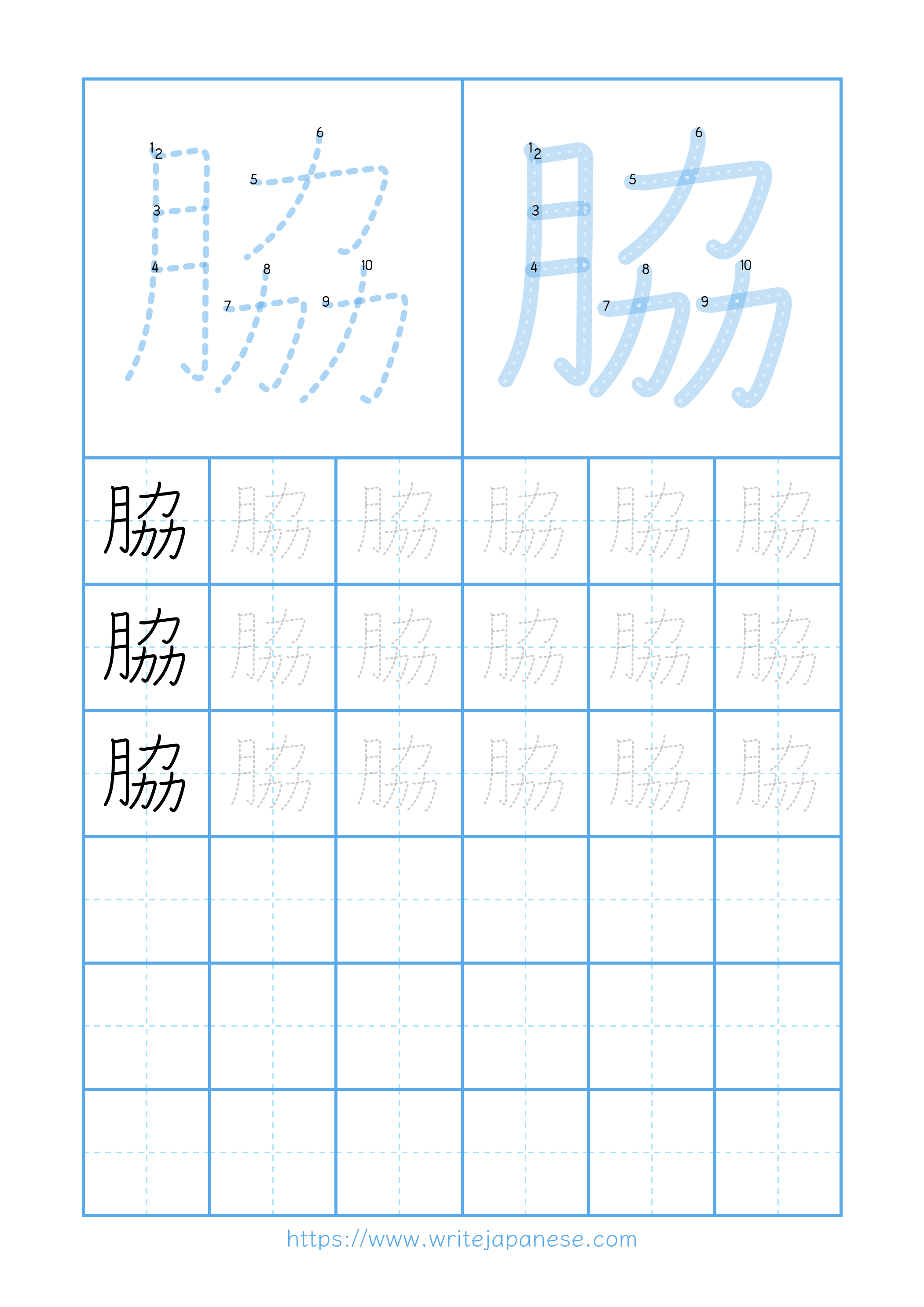 Modern horizontal worksheet for 脇