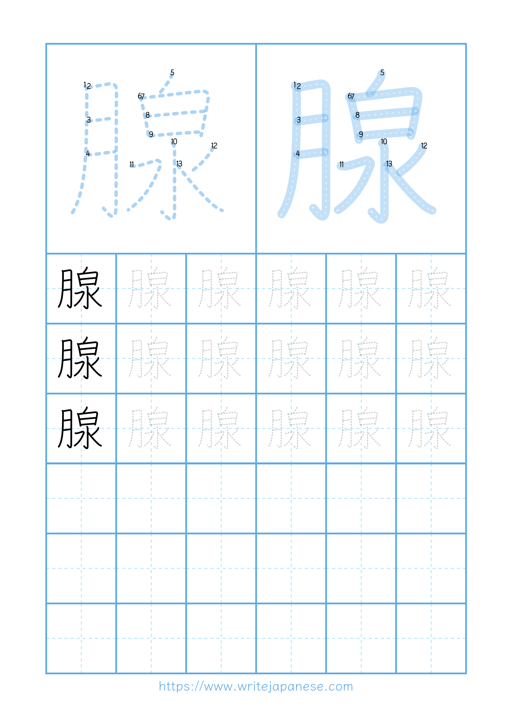 Modern horizontal worksheet for 腺