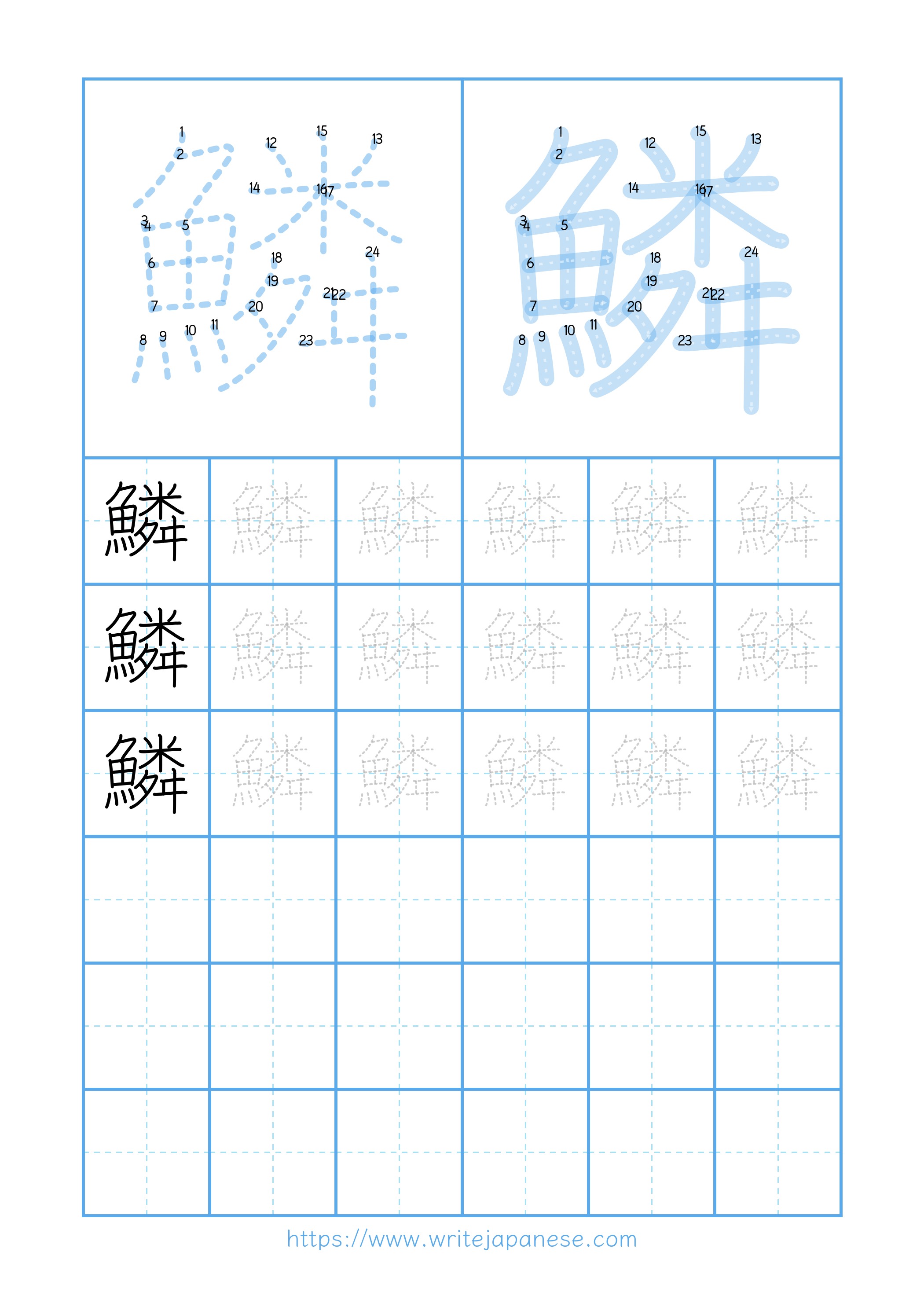 Modern horizontal worksheet for 鱗