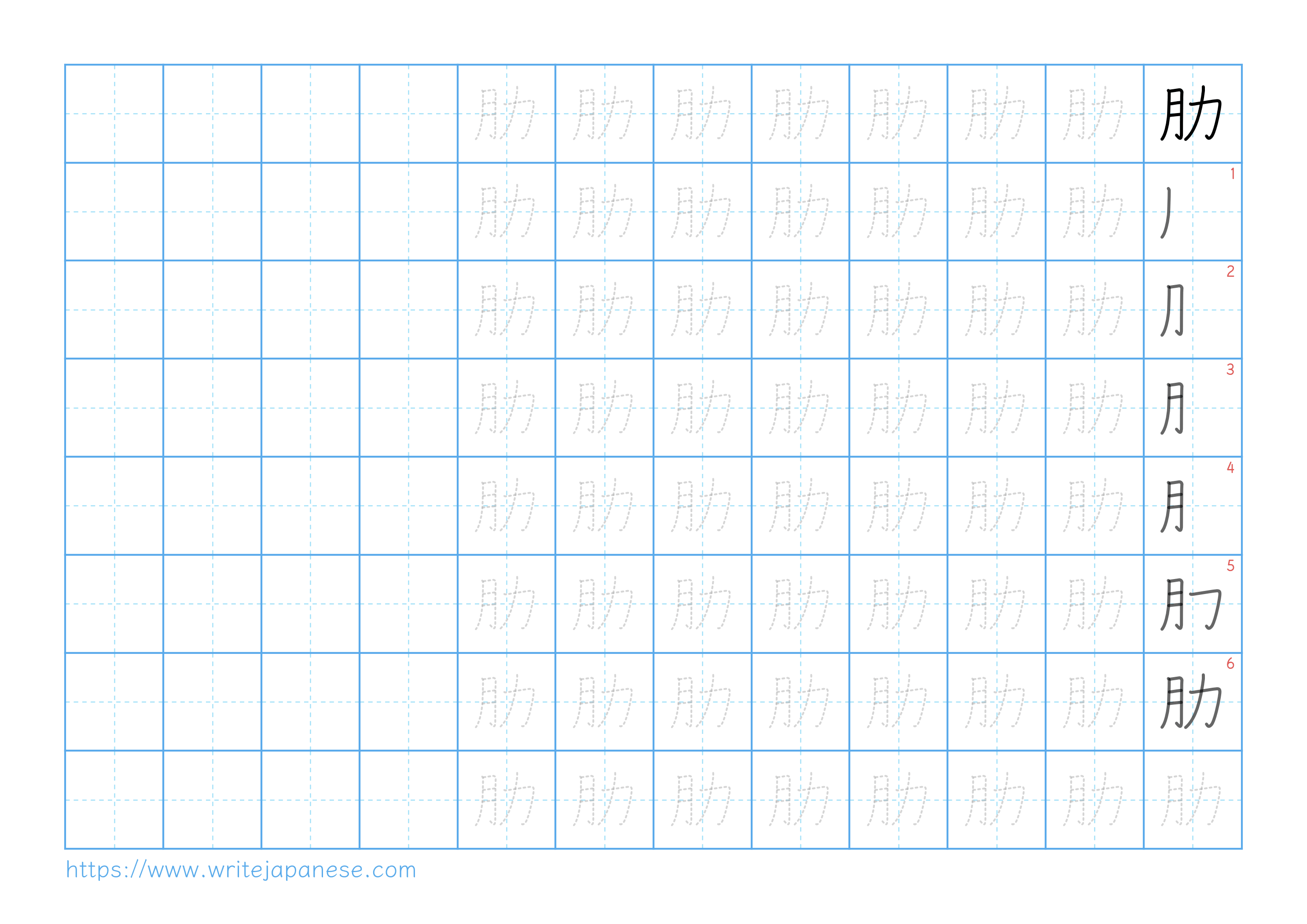 Traditional vertical worksheet for 肋