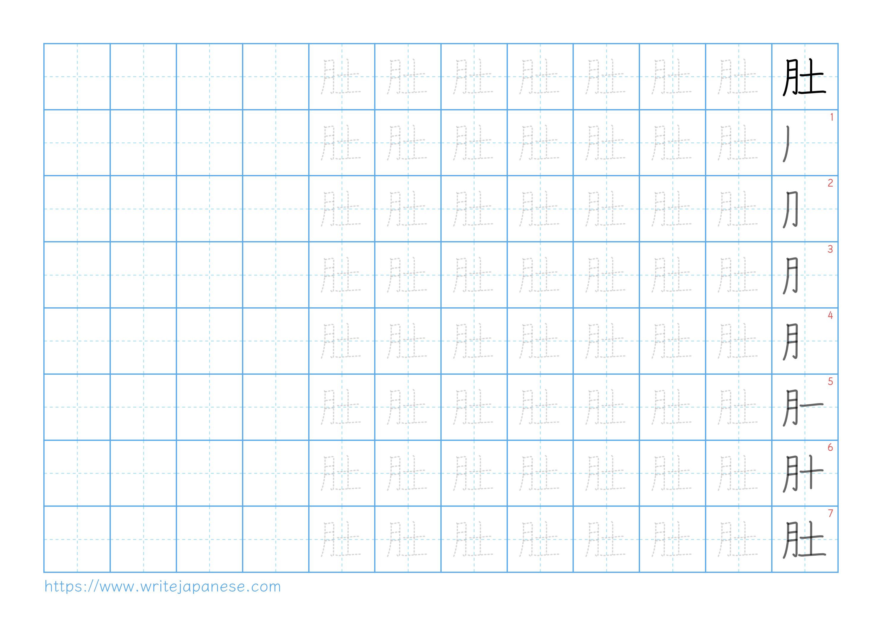 Traditional vertical worksheet for 肚