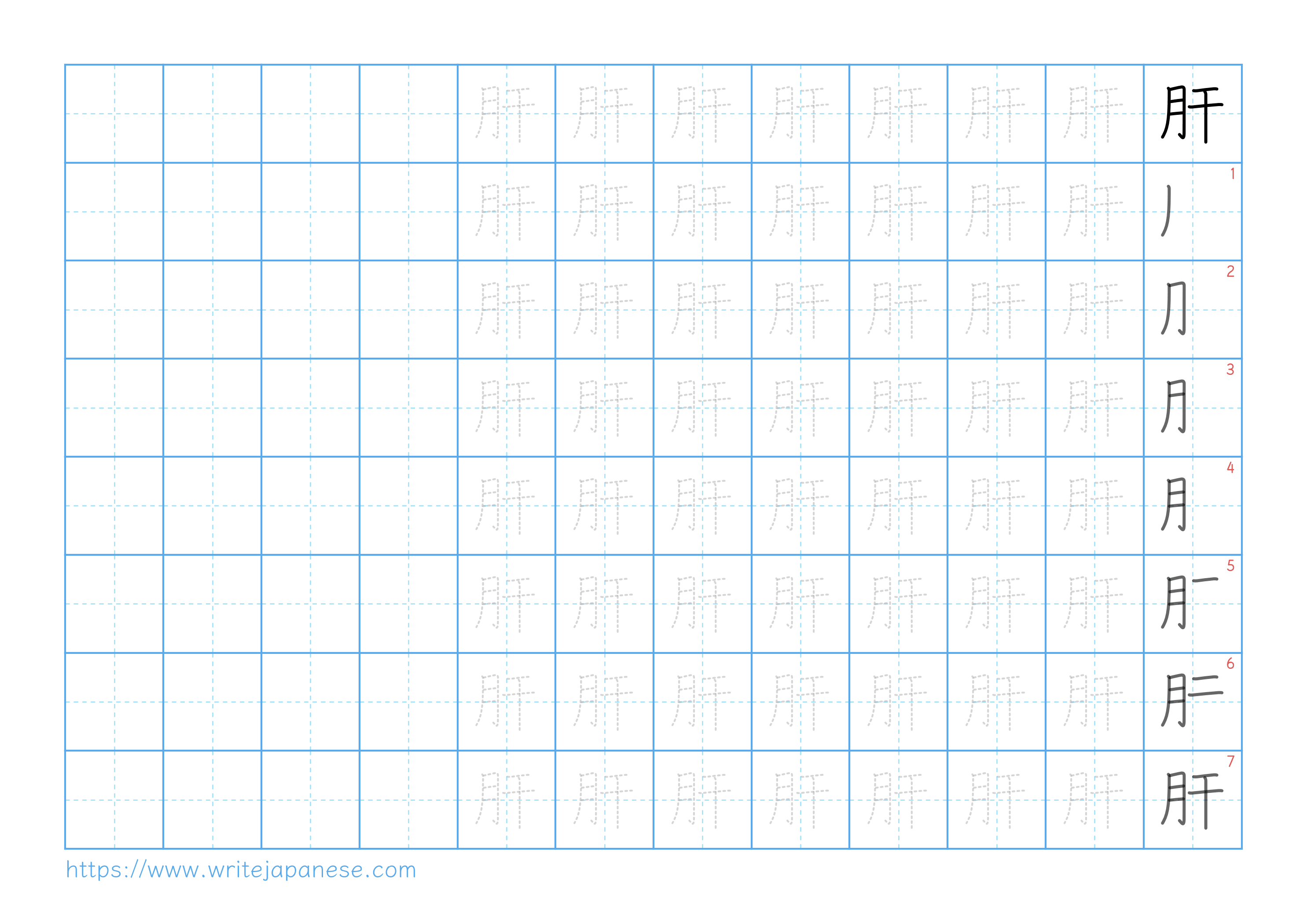 Traditional vertical worksheet for 肝
