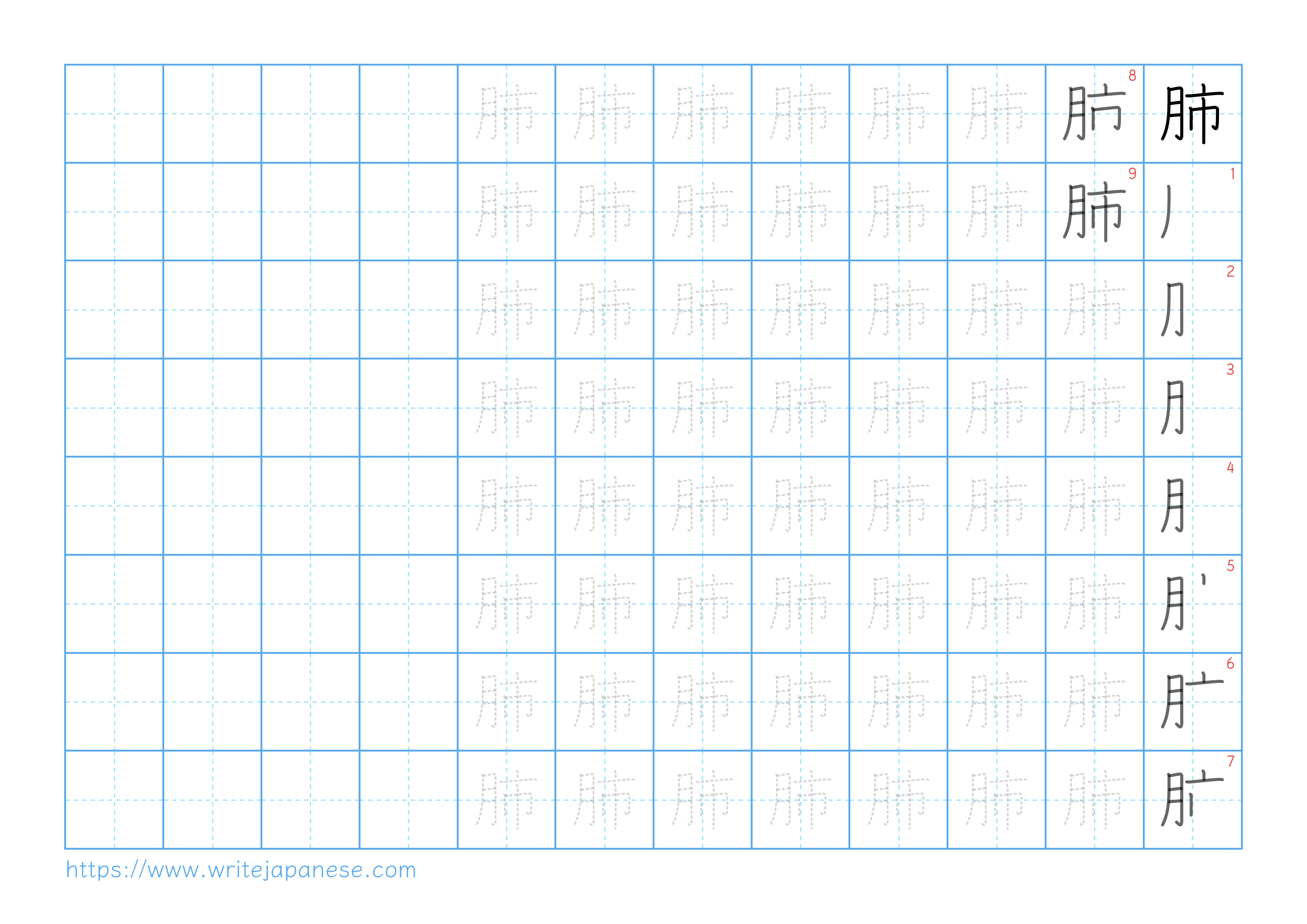 Traditional vertical worksheet for 肺