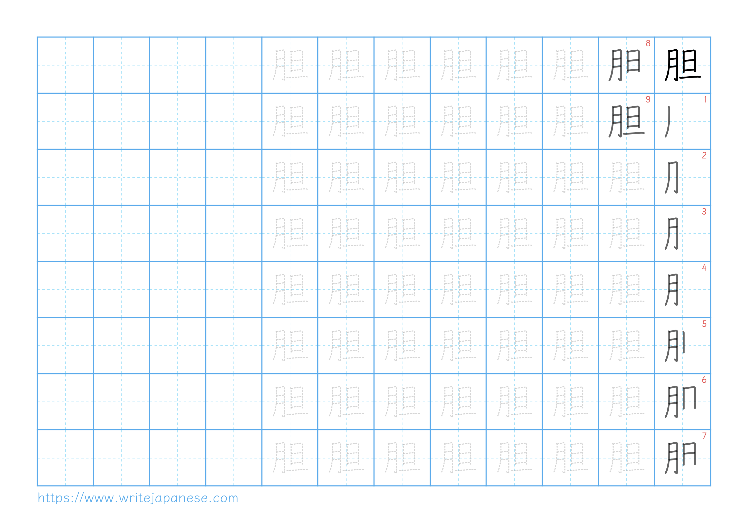 Traditional vertical worksheet for 胆