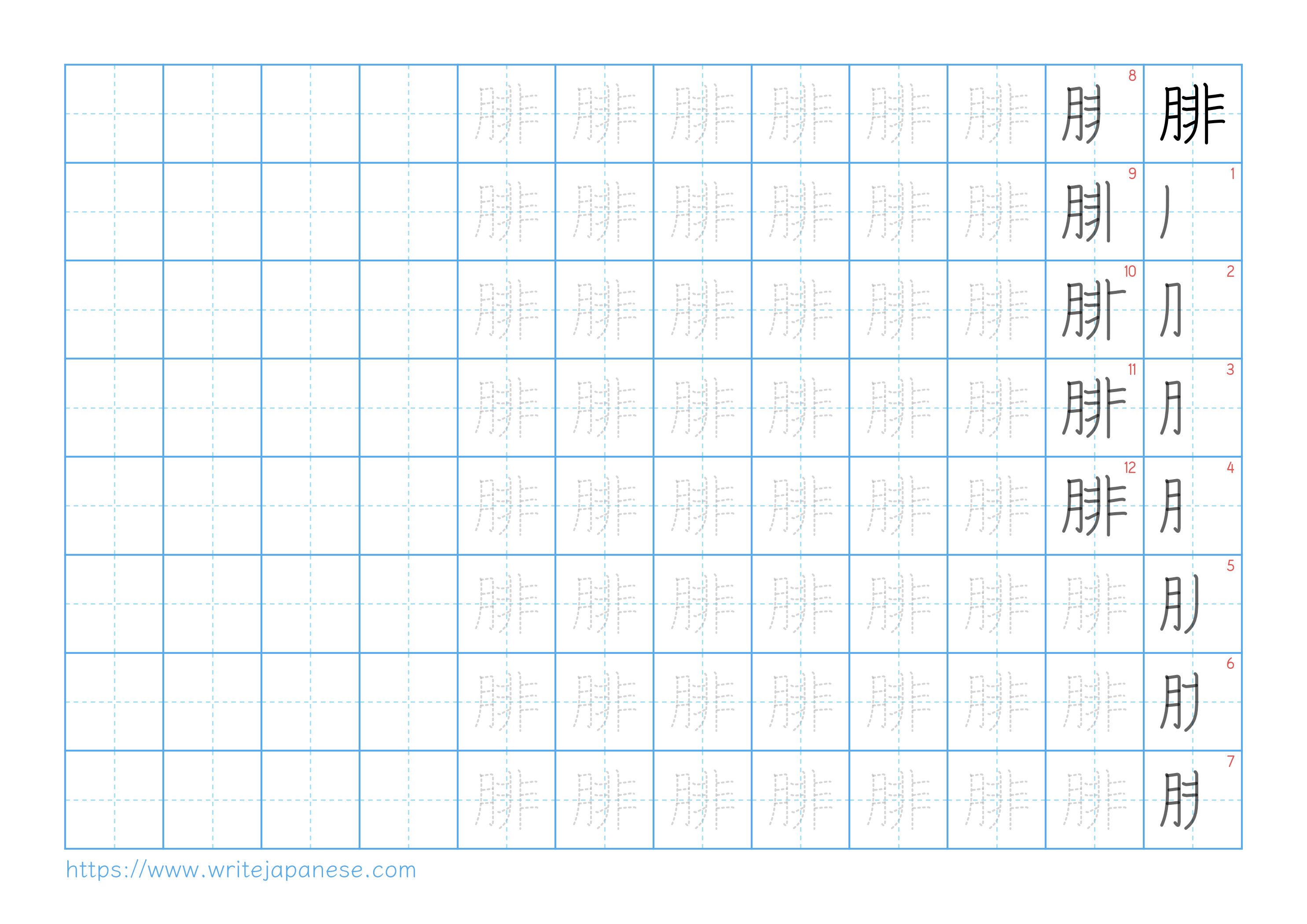 Traditional vertical worksheet for 腓
