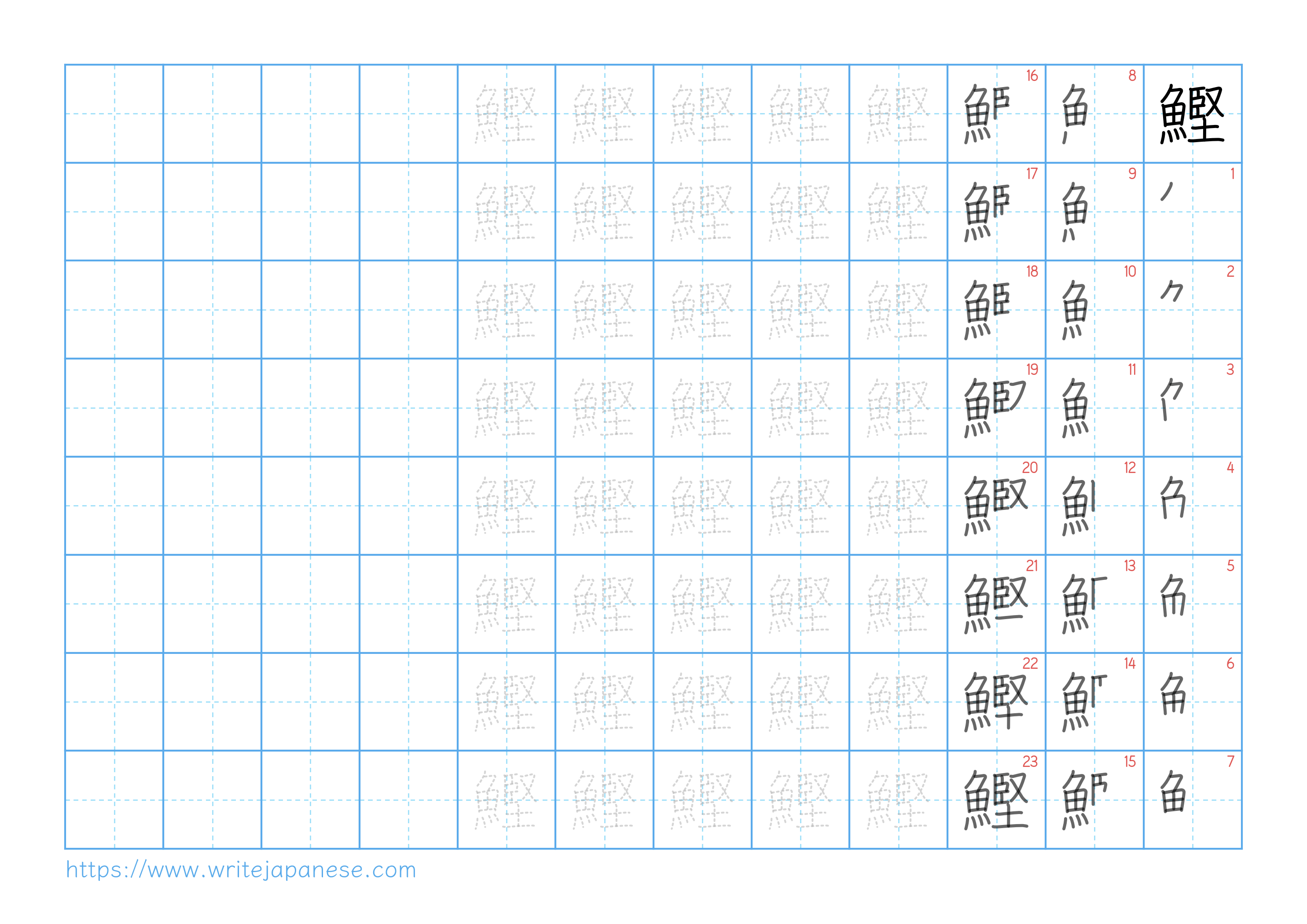 Traditional vertical worksheet for 鰹