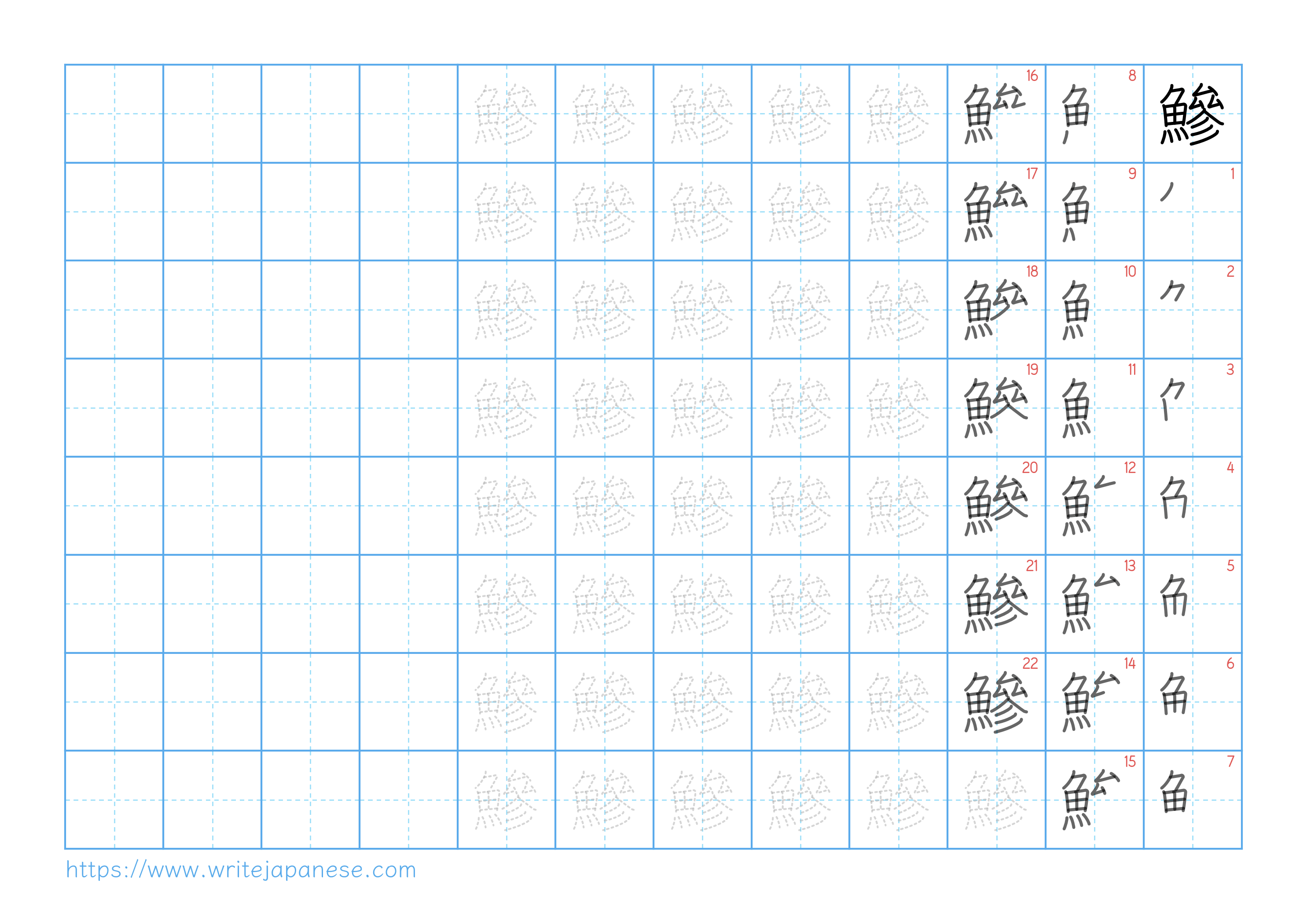 Traditional vertical worksheet for 鰺