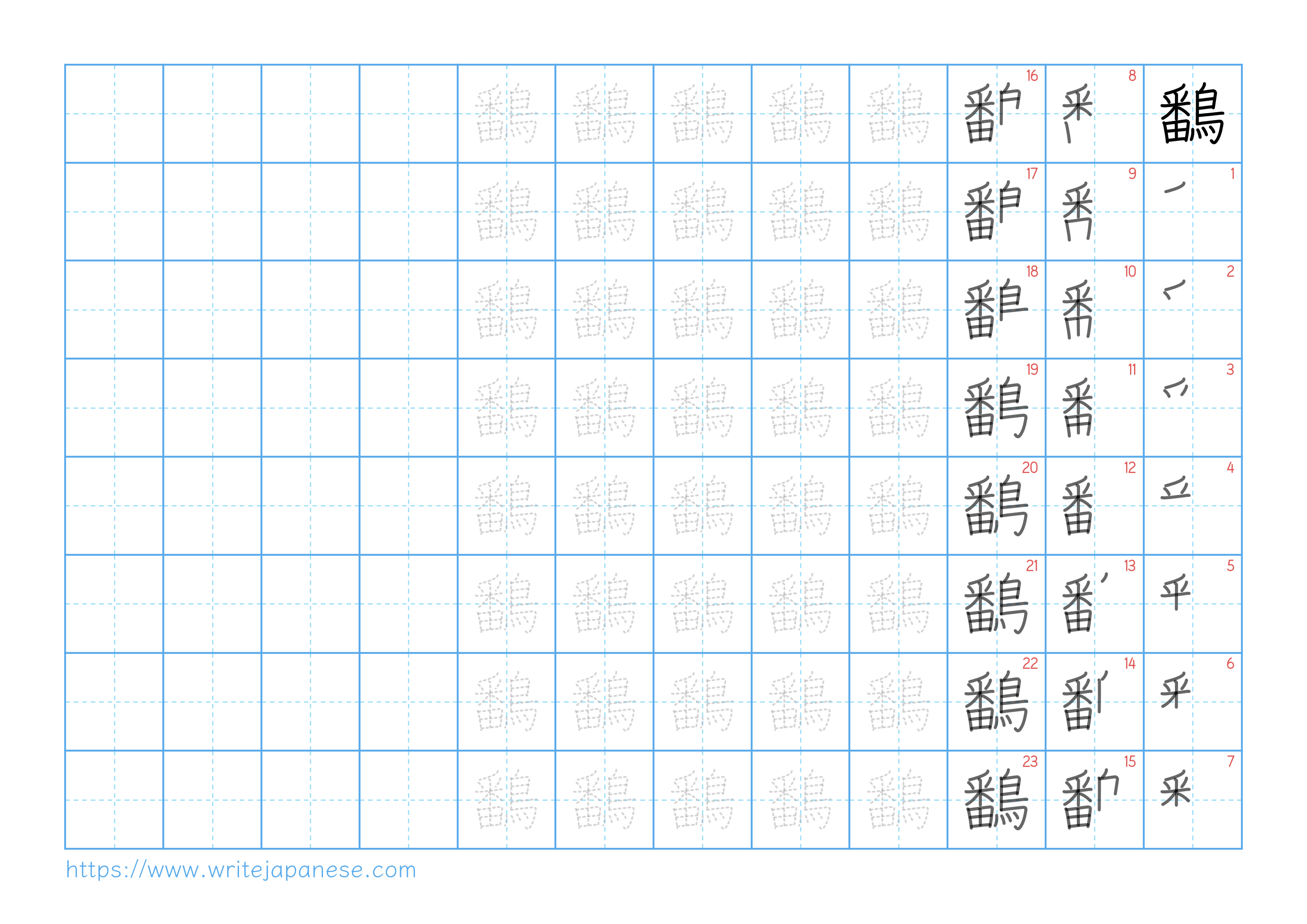 Traditional vertical worksheet for 鷭